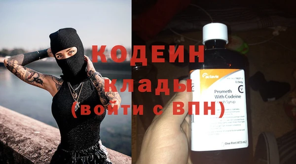 дурь Вяземский
