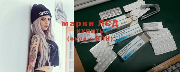 стафф Вязьма