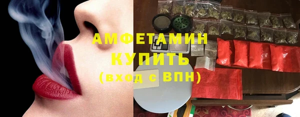 стафф Вязьма