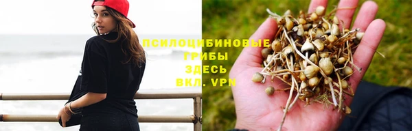 дурь Вяземский