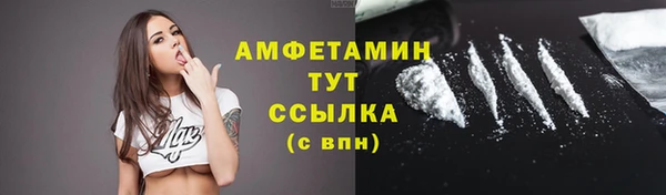 стафф Вязьма