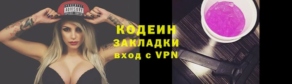 дурь Вяземский