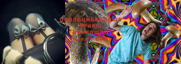 PSILOCYBIN Вязники