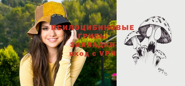 PSILOCYBIN Вязники